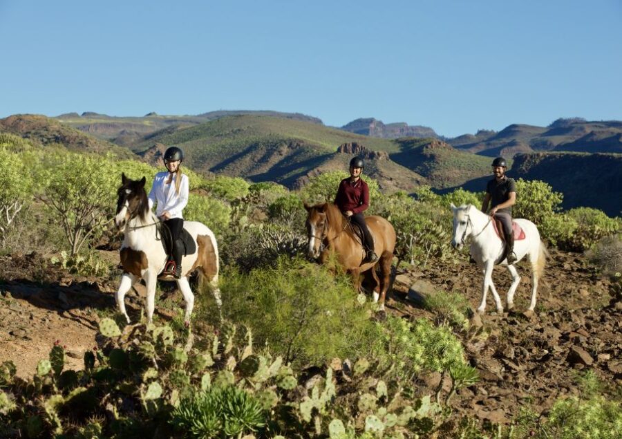 El Salobre Horse Riding Photos