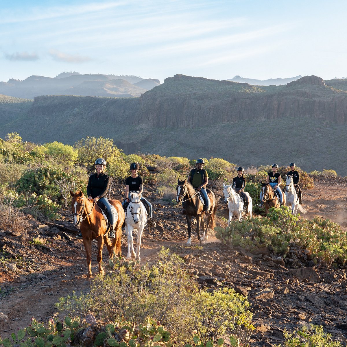 El Salobre Horse Riding Reviews
