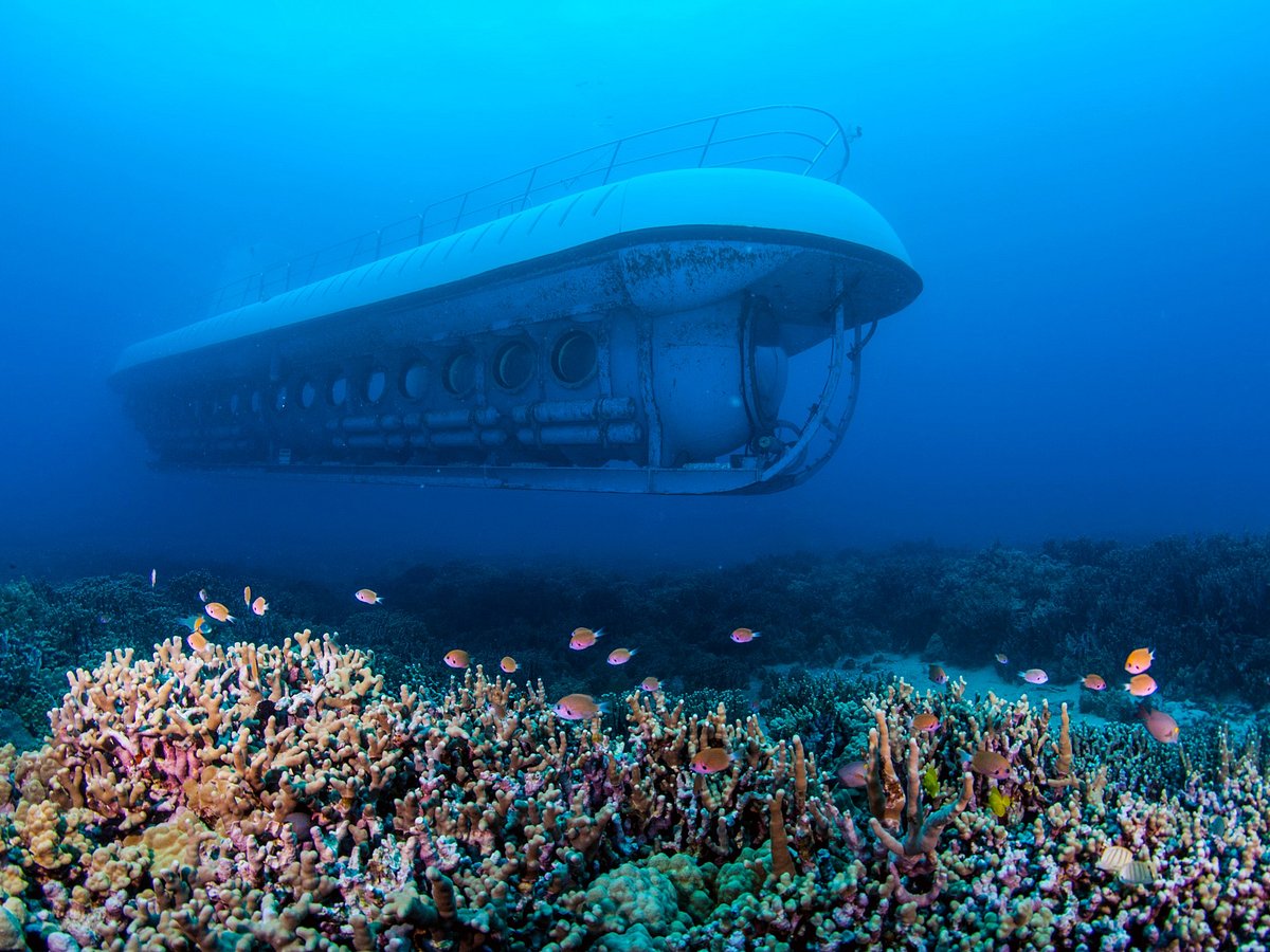Kona Submarine Tour Review
