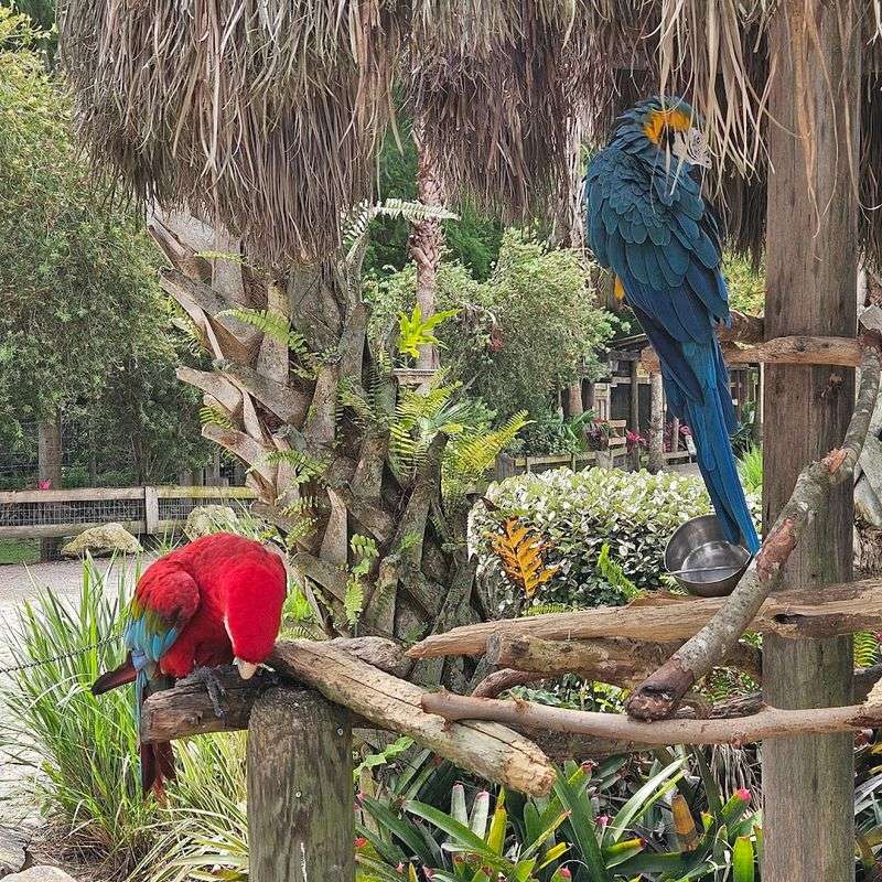 Tropical Bird Aviary