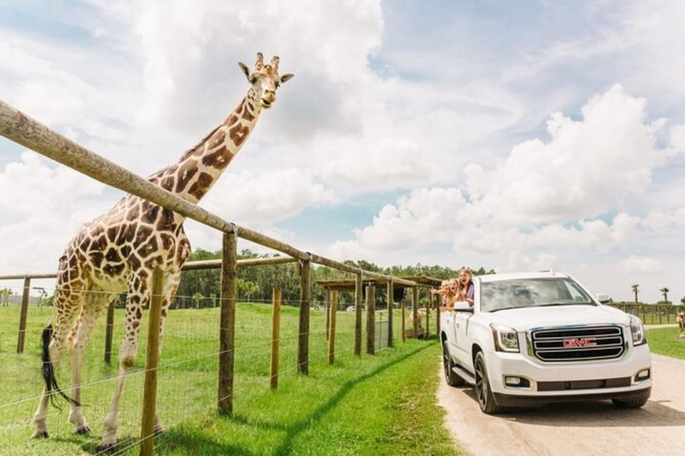 Drive Thru Safari Orlando Reviews