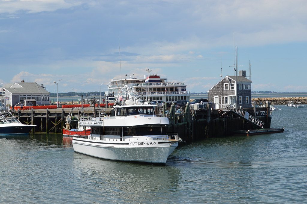 Plymouth Whale Watching Town Wharf Plymouth Ma