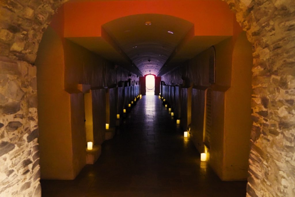 How Much Is a Tour of the Catacombs