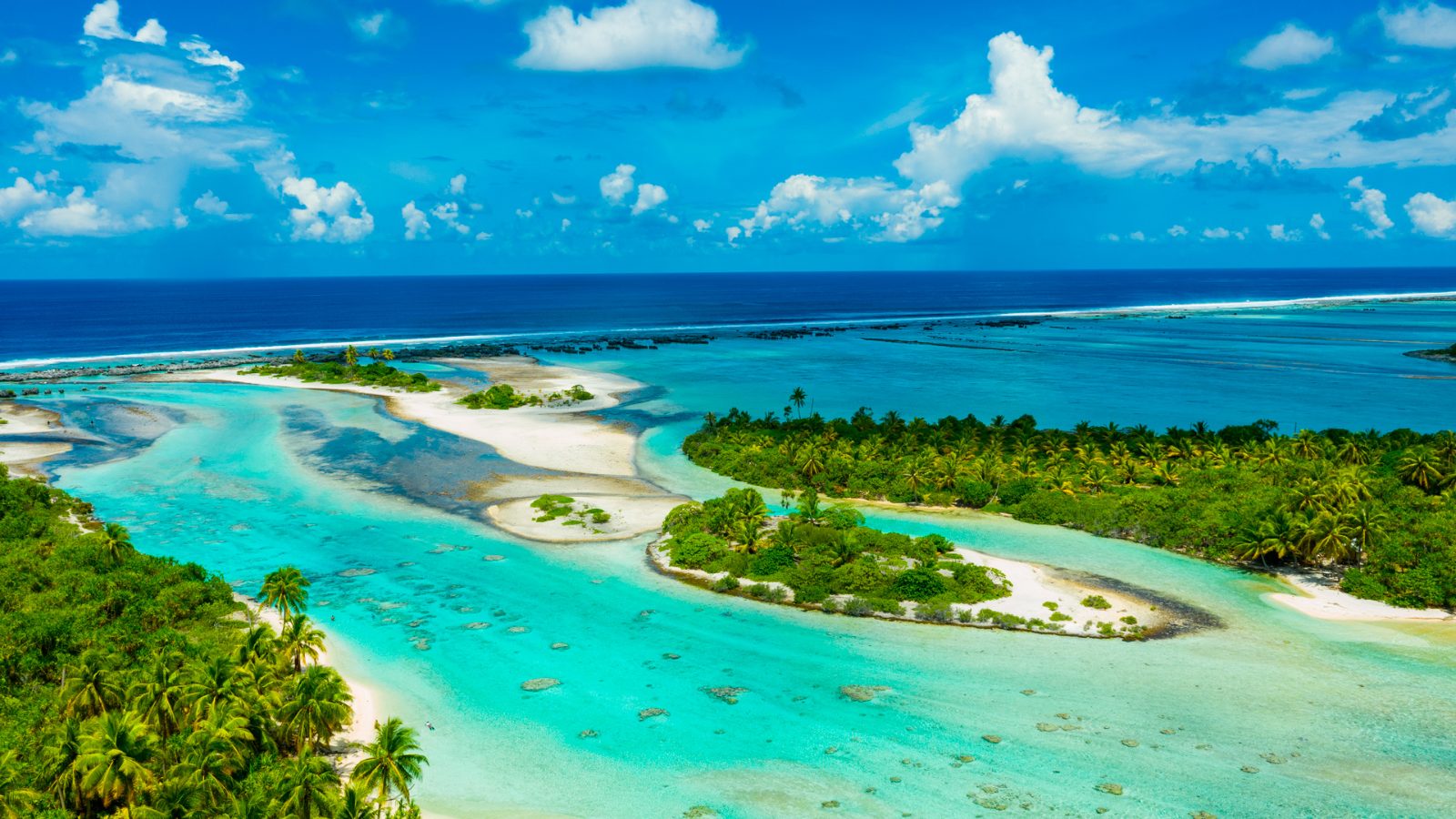 Coral Gardens