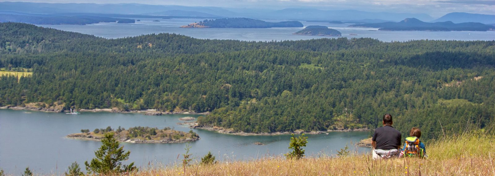 Turtleback Mountain Preserve