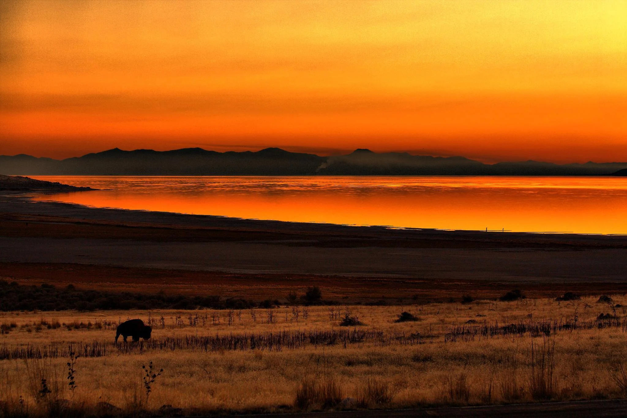 Antelope Island Viewpoint