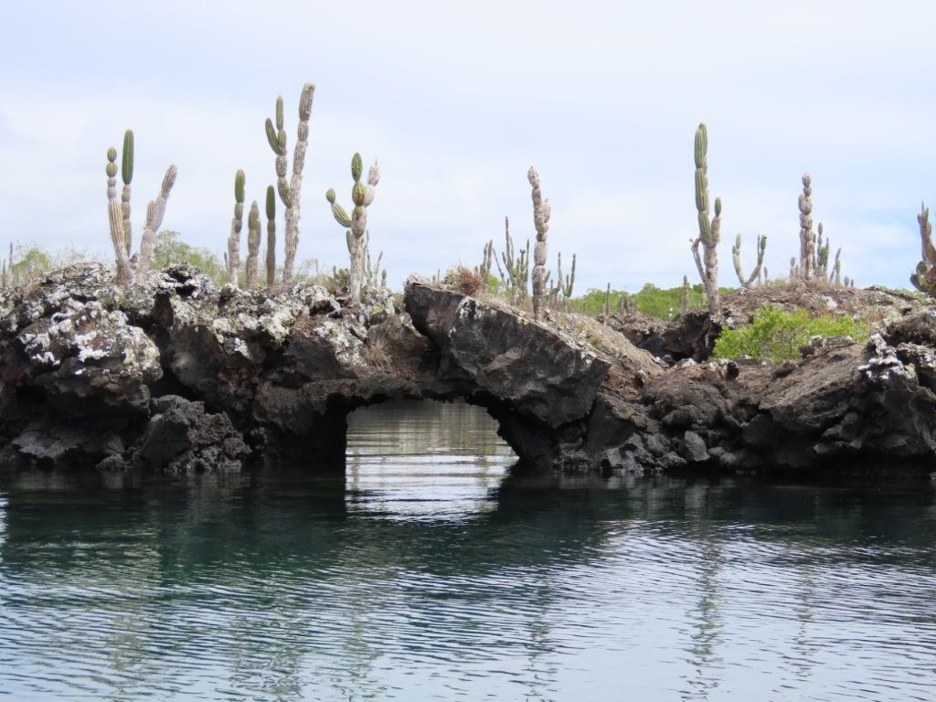 Lava Bridges