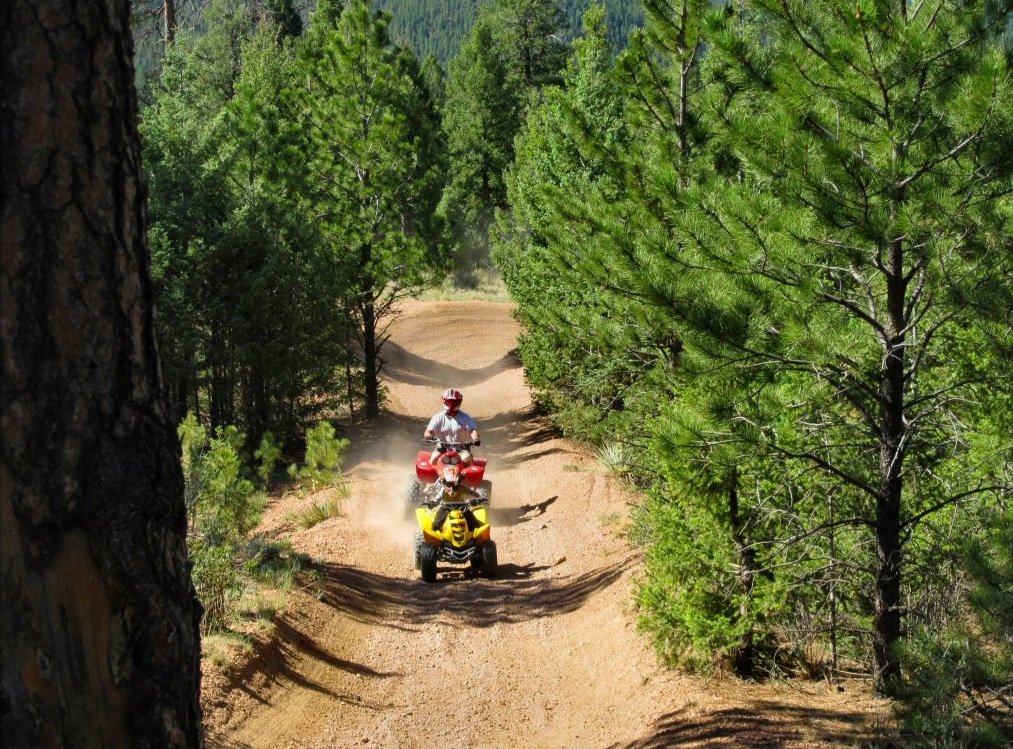 Woodland Park Utv Trails