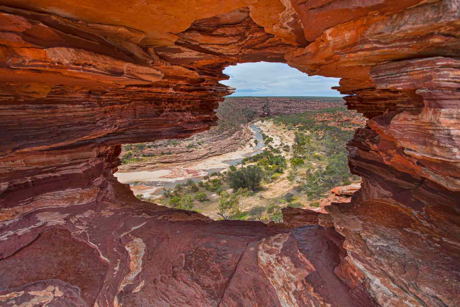 Nature's Window