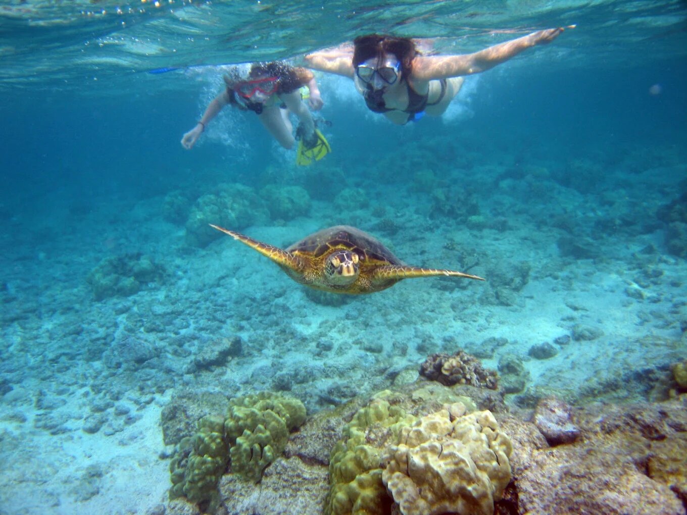 Can You Snorkel at Kaanapali Beach