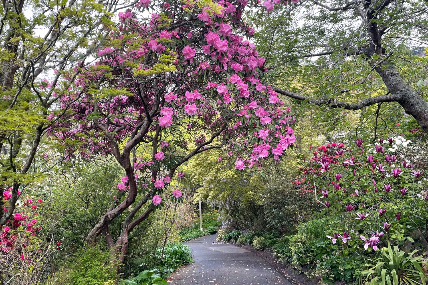 Glenfalloch Garden
