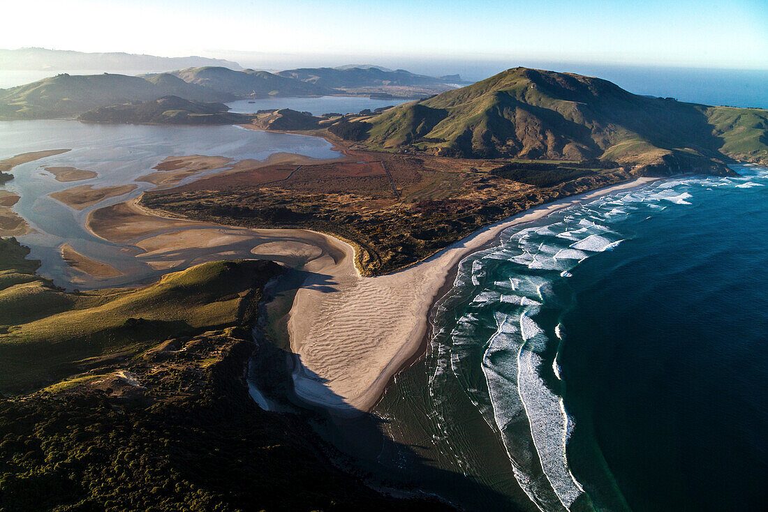 Otago Peninsula Things to Do