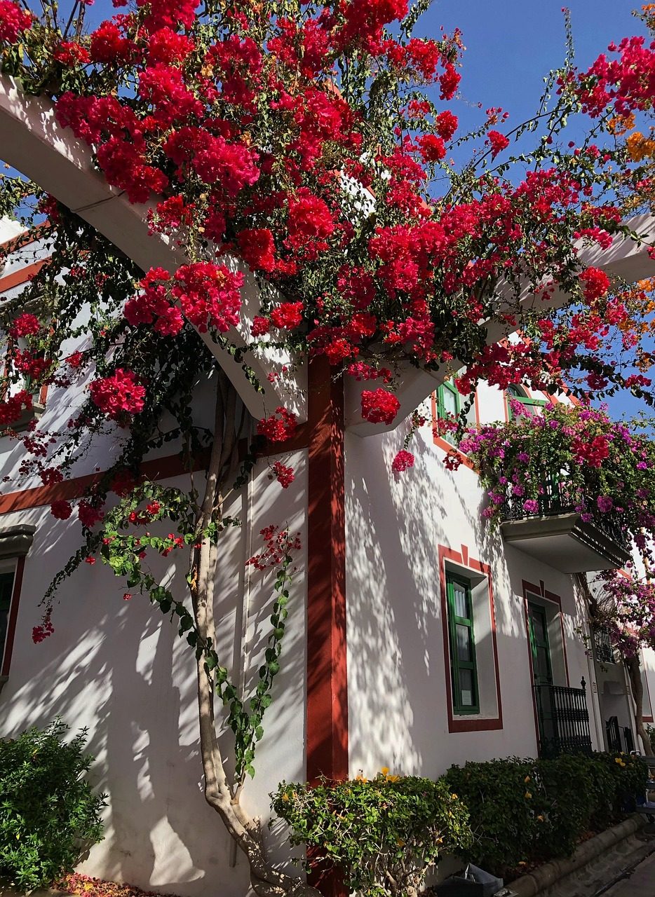Bougainvillea-Draped Cottages