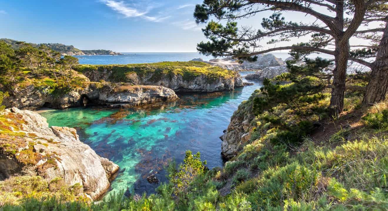 Point Lobos State Natural Reserve