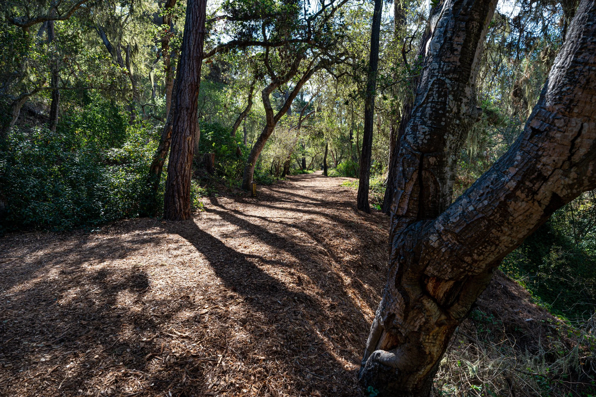 Mission Trail Park