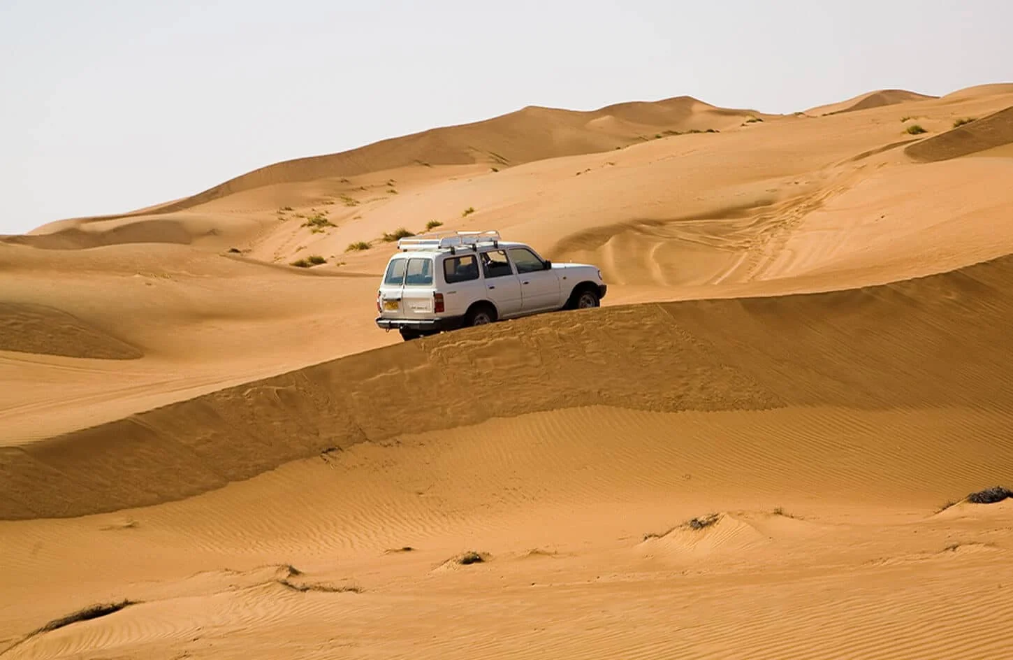 Desert Safari Activities