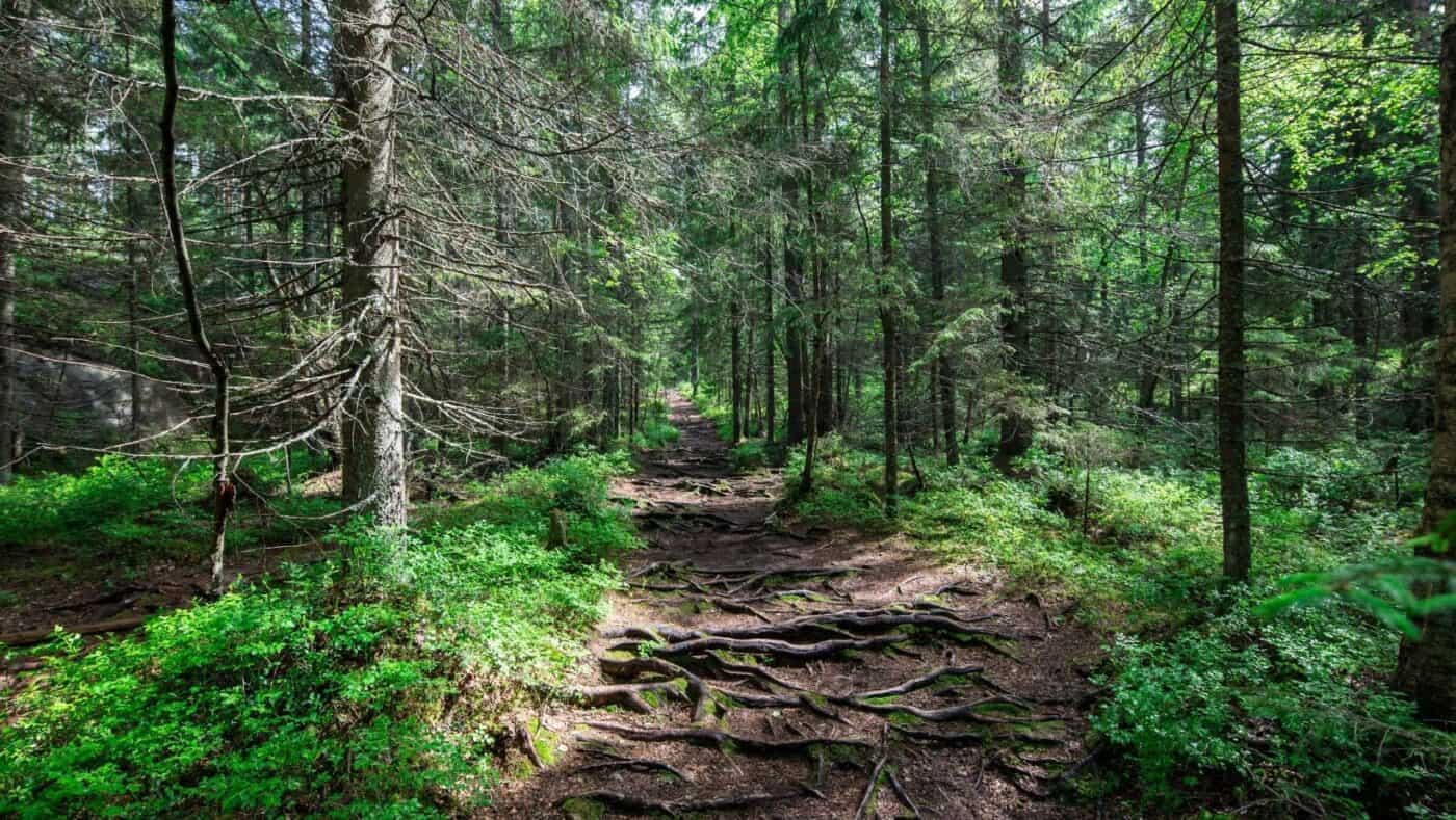 Nuuksio Hiking Guide