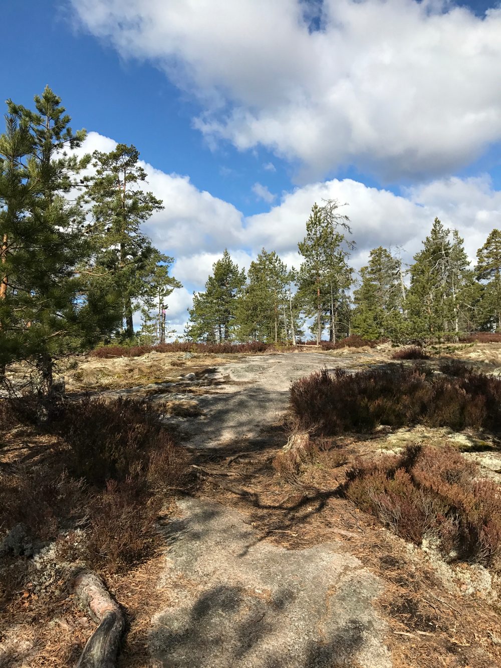 Klassarinkierros Trail