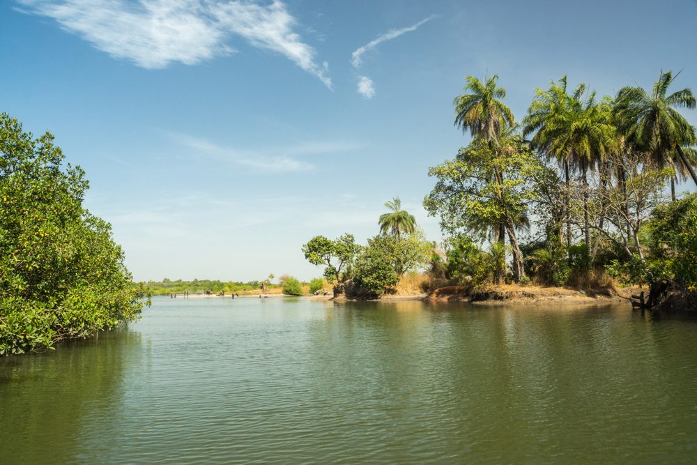 Gambia Travel Requirements