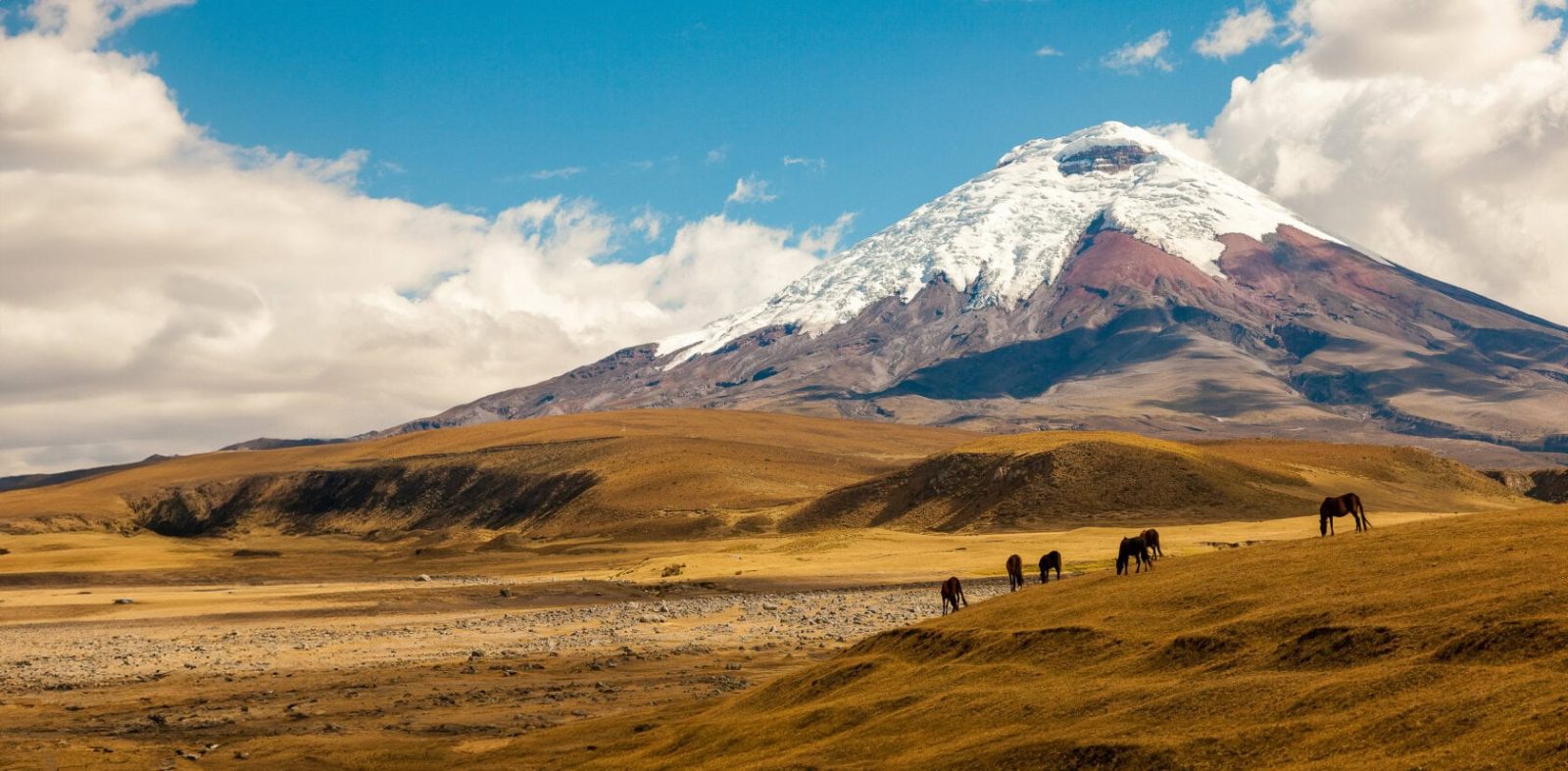 Ecuador Private & Luxury Tours