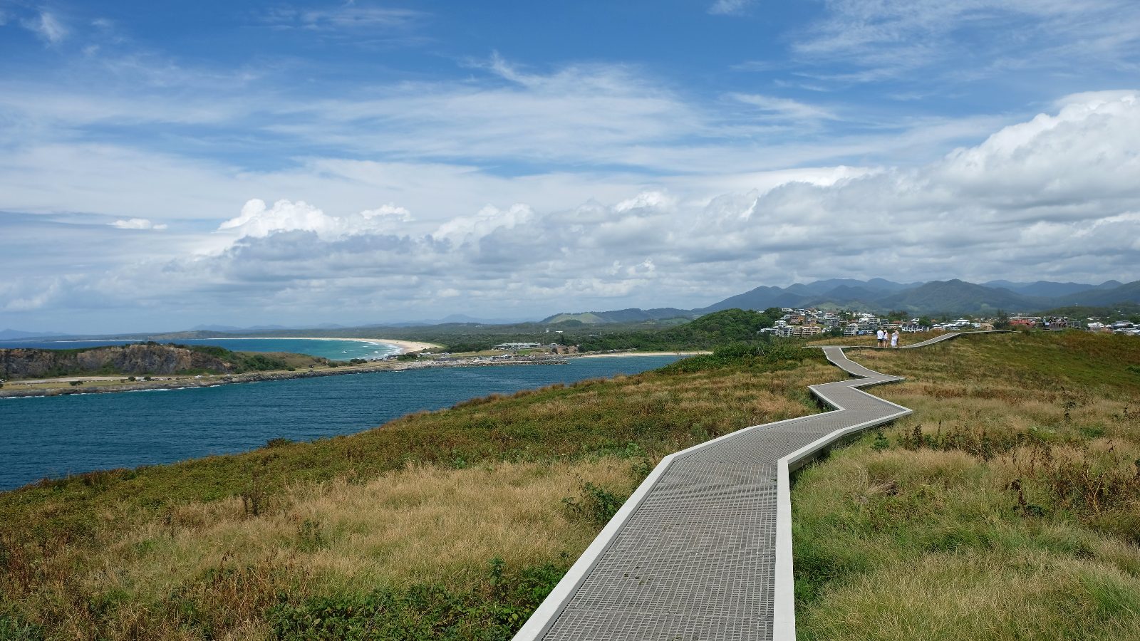 Muttonbird Island Walking Track