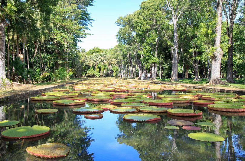 Mauritius North Tour Itinerary