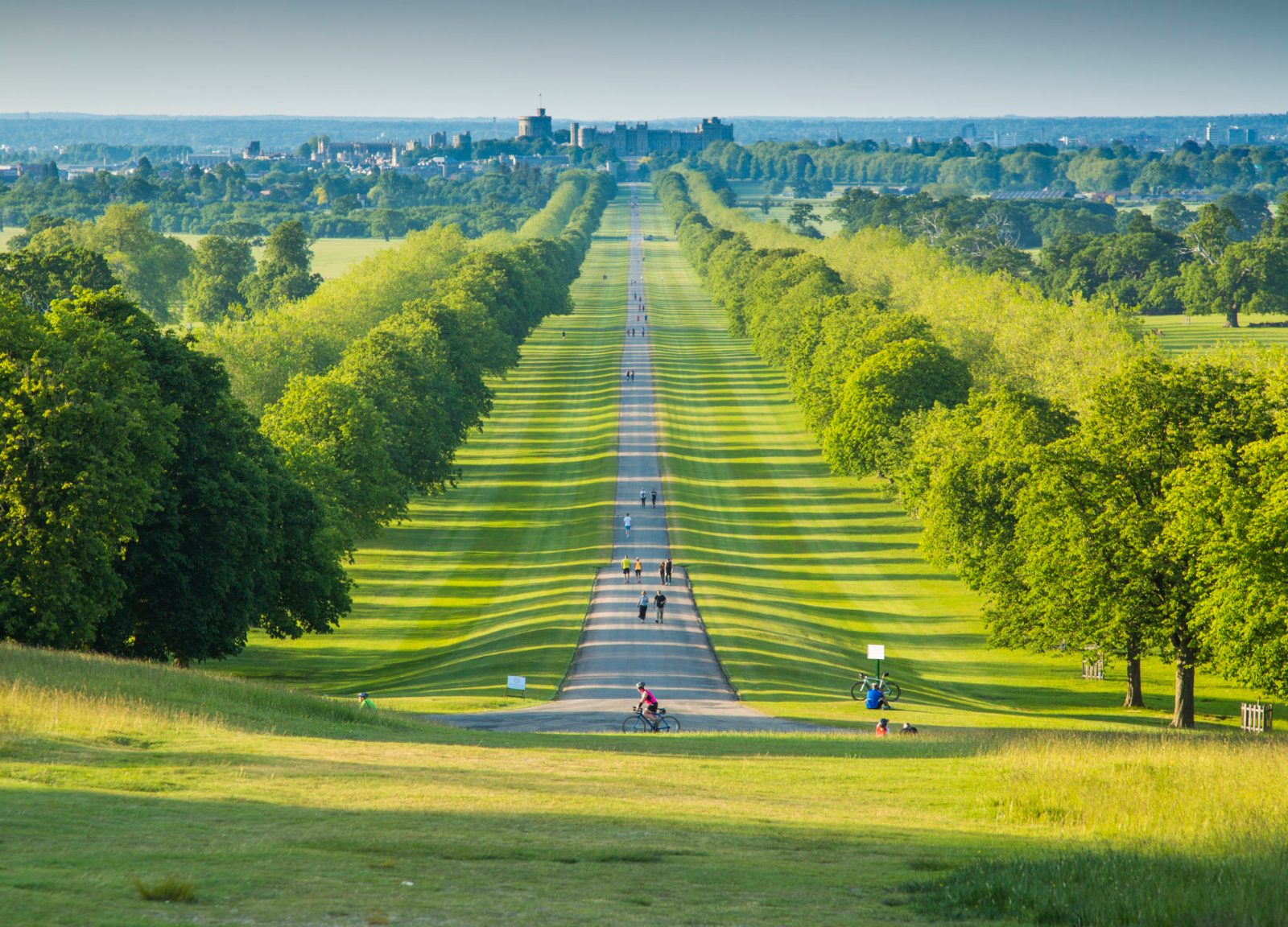 Windsor Great Park