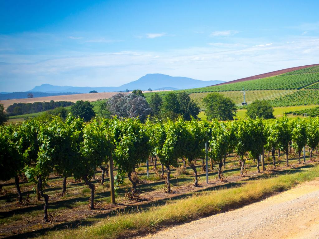 Tamar Valley Wine Tour Map