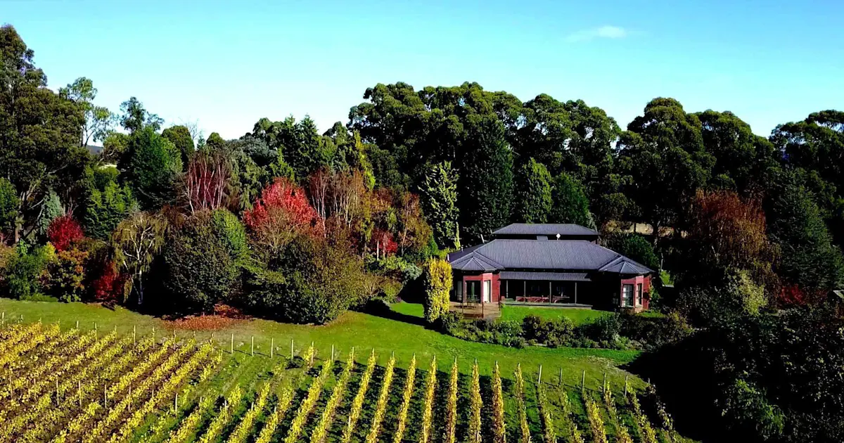 Tamar Valley Wine Tours Reviews