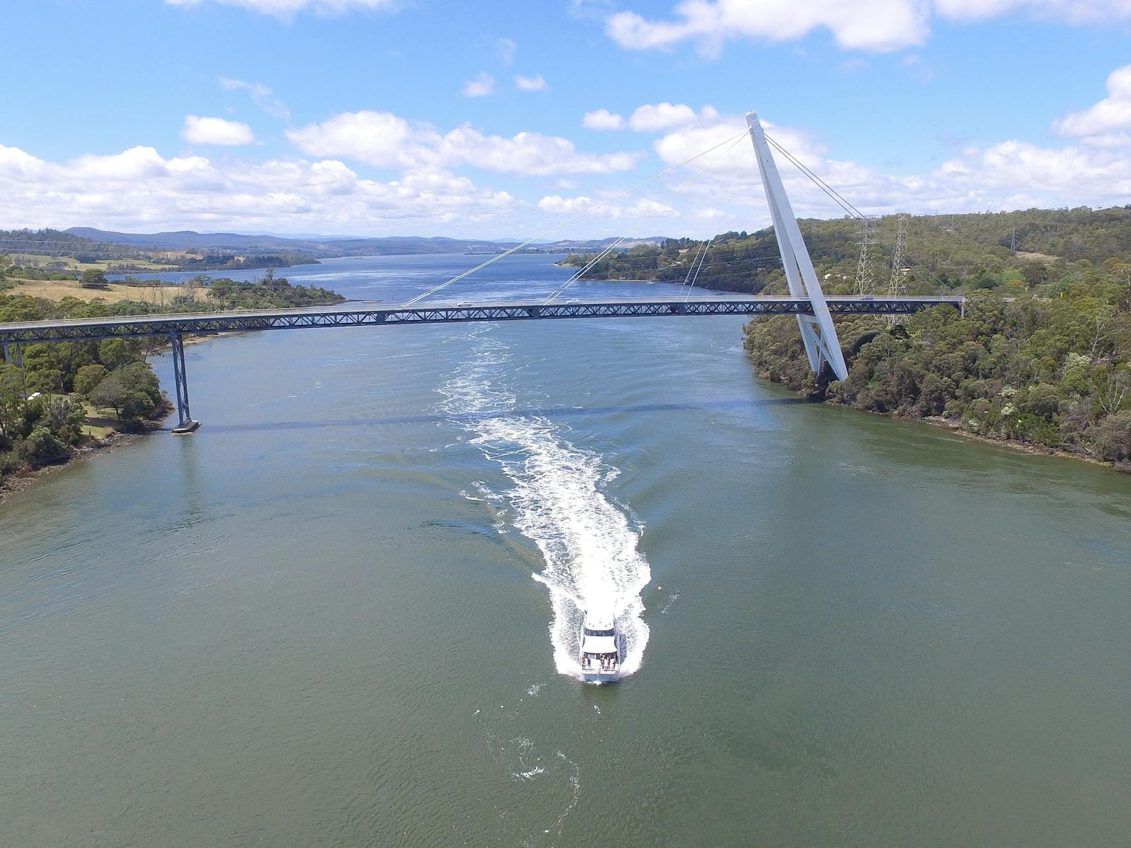Batman Bridge Luncheon Cruise Reviews