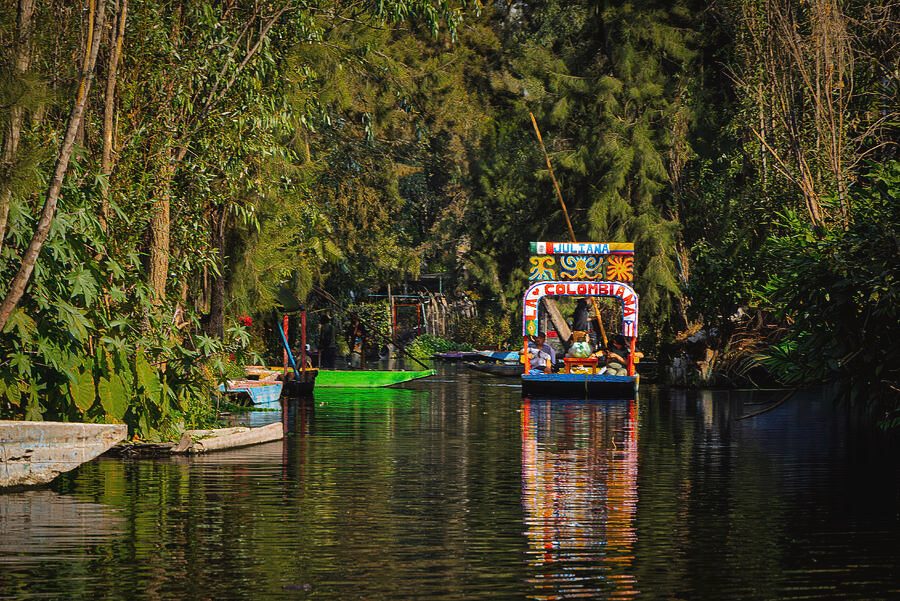 Xochimilco Party Boat Reddit