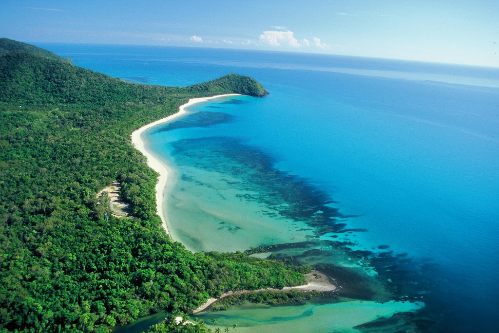 Cape Tribulation