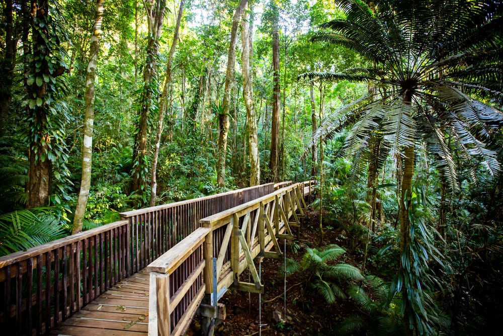 Daintree Village