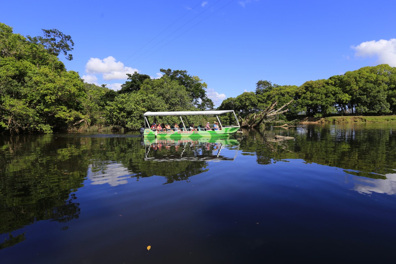 Daintree Crocodile Tour Prices