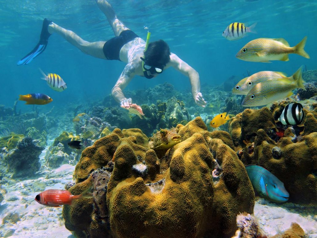 Puerto Morelos Snorkeling From Shore