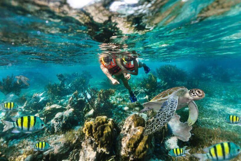Is Puerto Morelos Worth Visiting