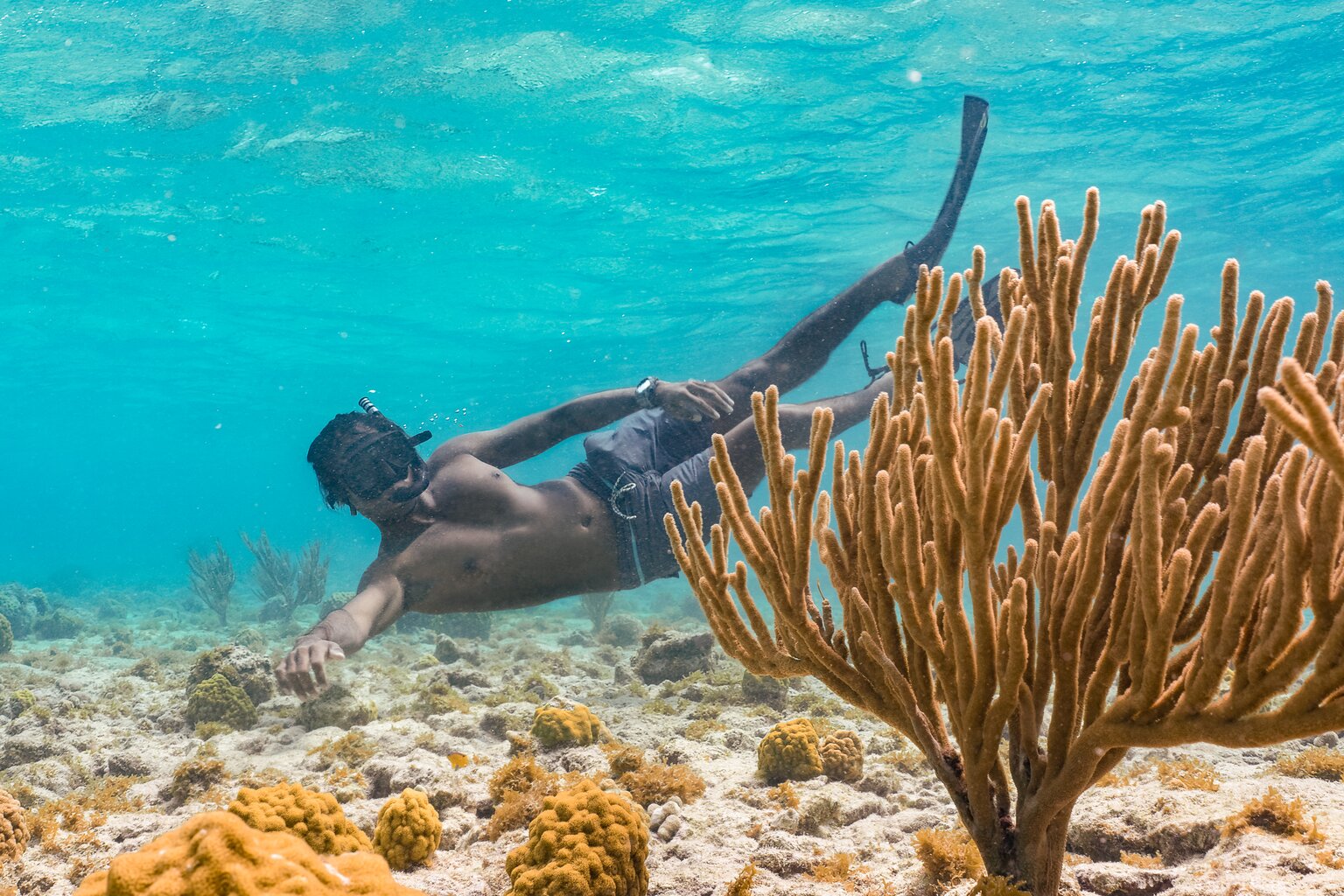 Is Aruba Good for Snorkeling