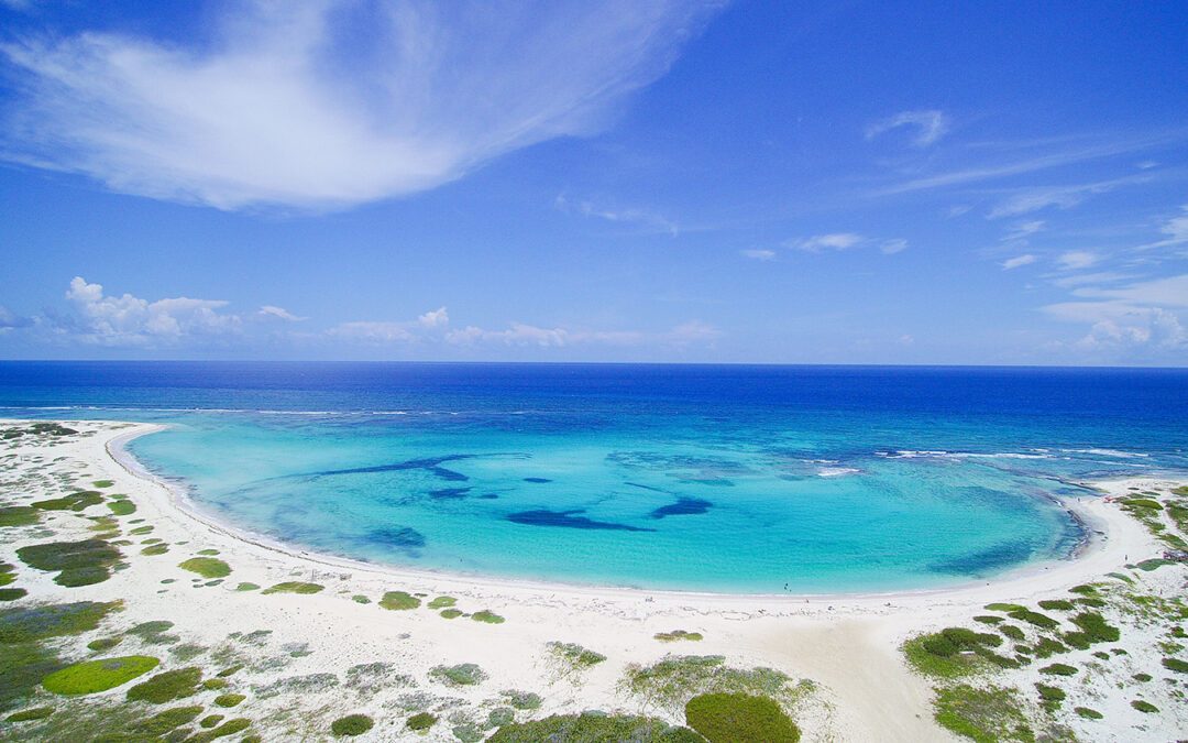 Where to Snorkel in Aruba for Free