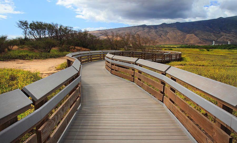 Kealia Pond National Wildlife Refuge