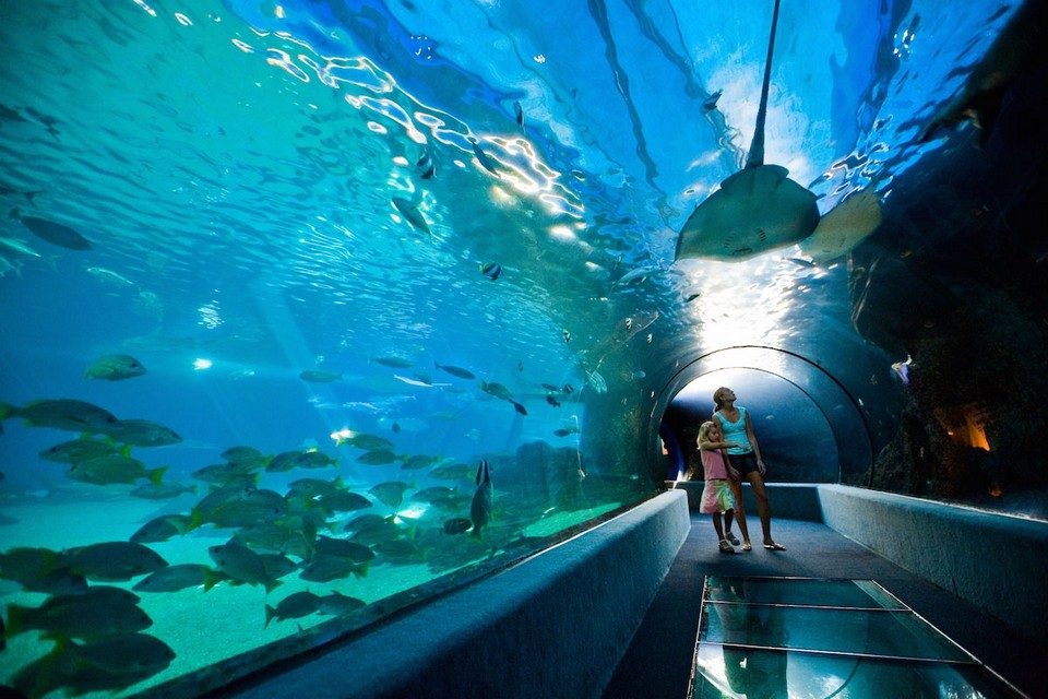 Maui Ocean Center