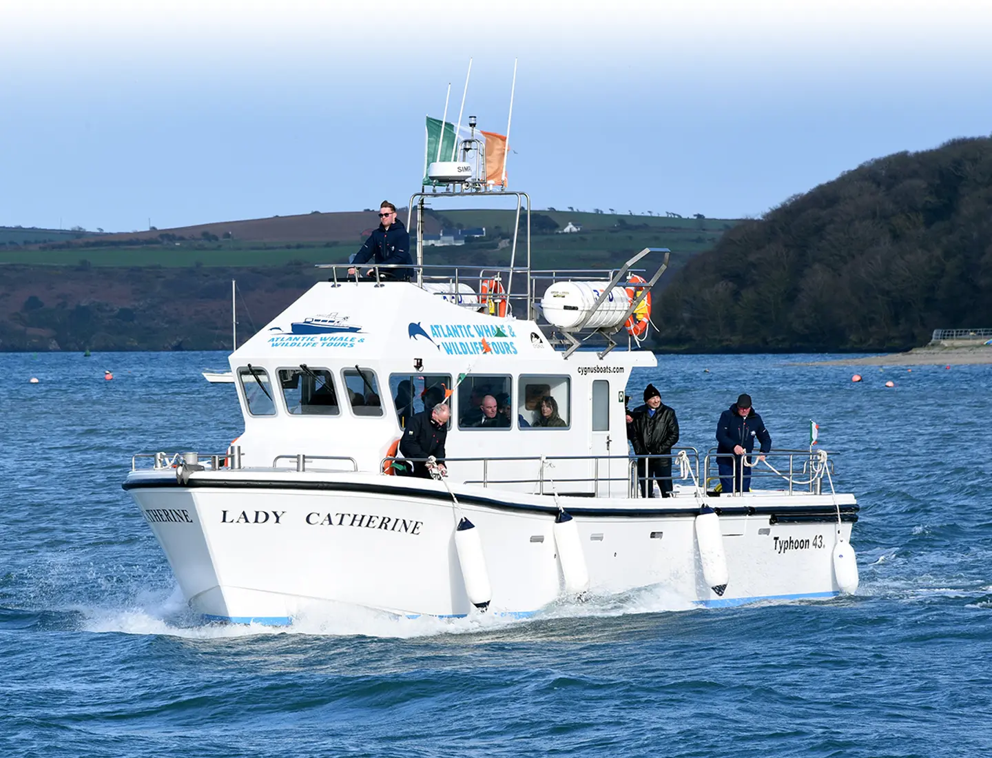 Whale Watching Cork Price
