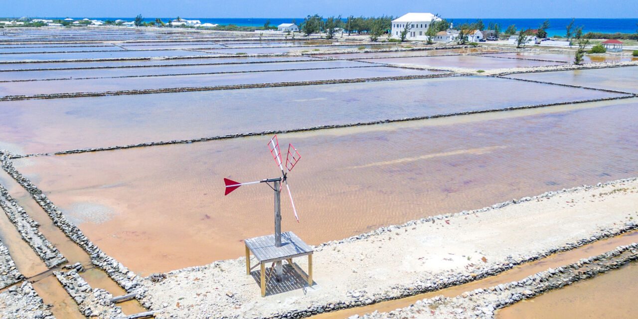 Salt Salina