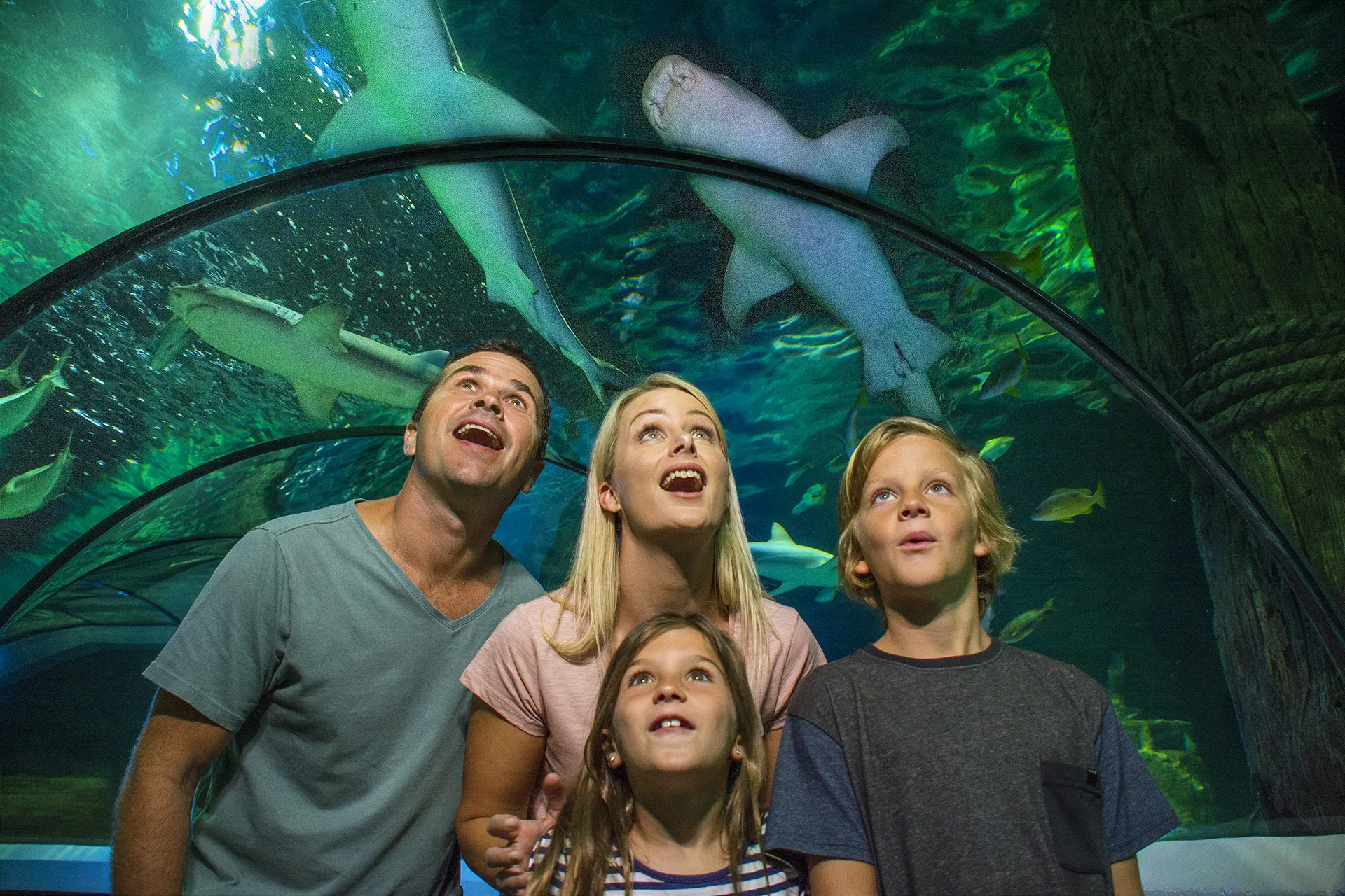 SEA LIFE Sunshine Coast