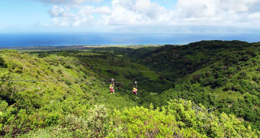 Toro Verde Zipline Accident