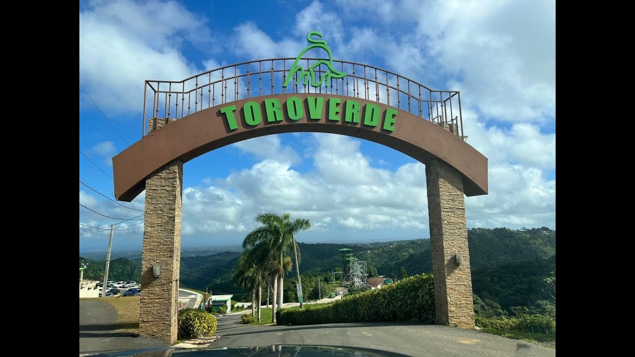 Toro Verde Zipline Transportation