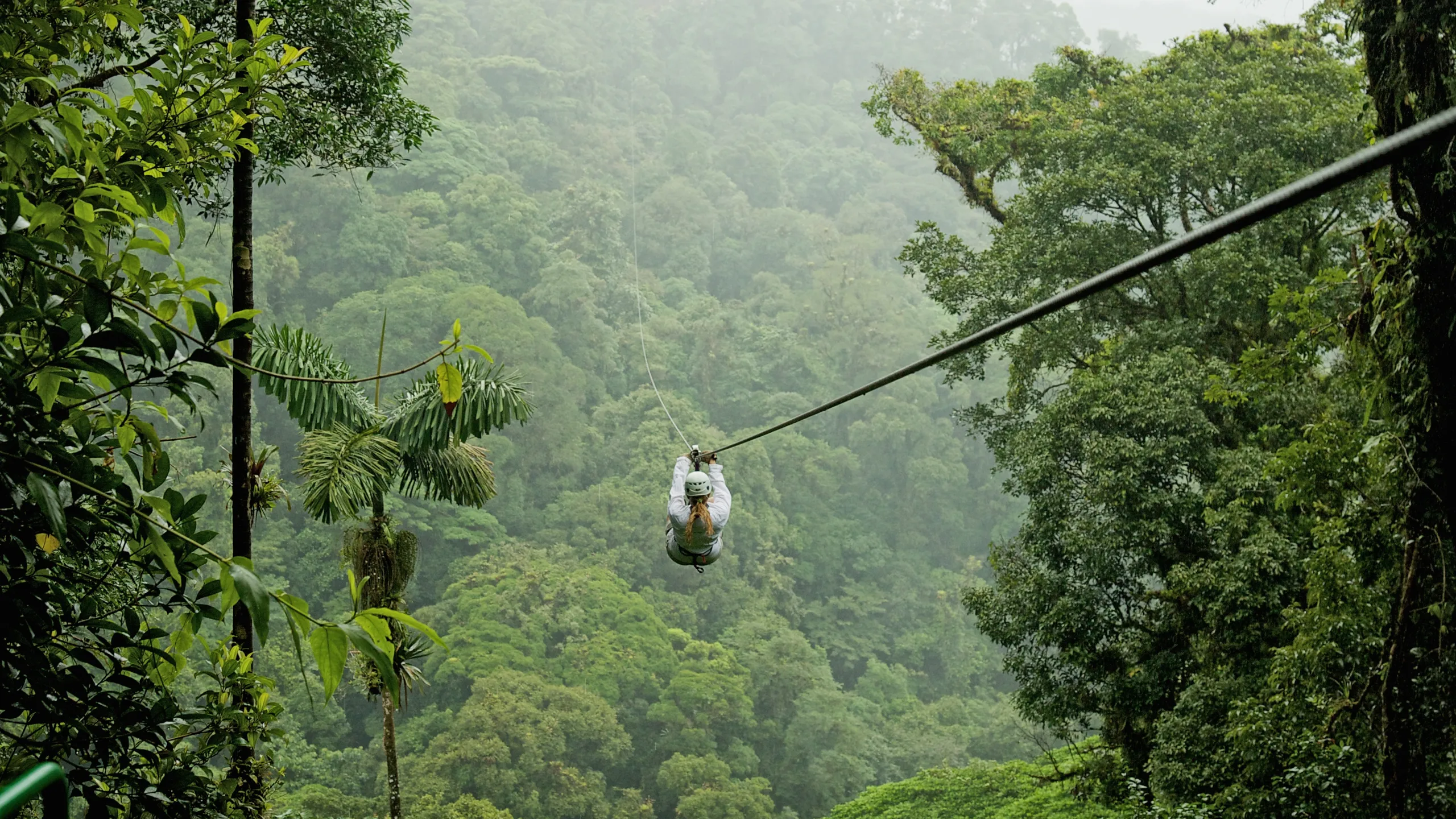 Toro Verde Zipline Park