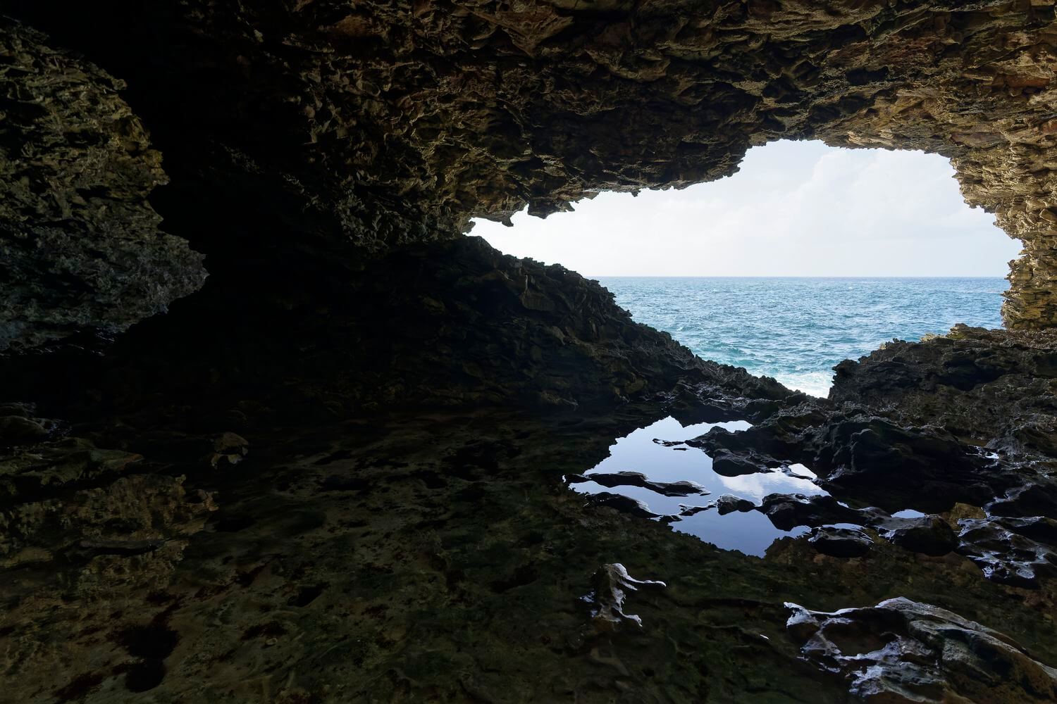 The Coral Floor