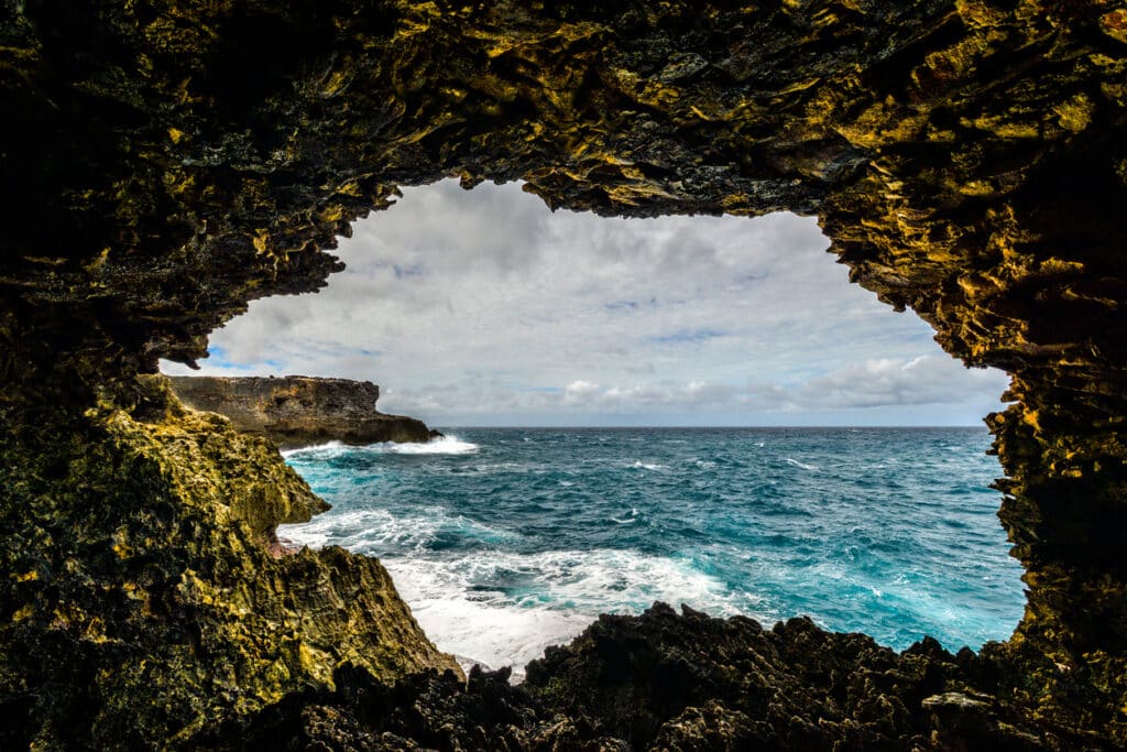 Animal Flower Cave Photos