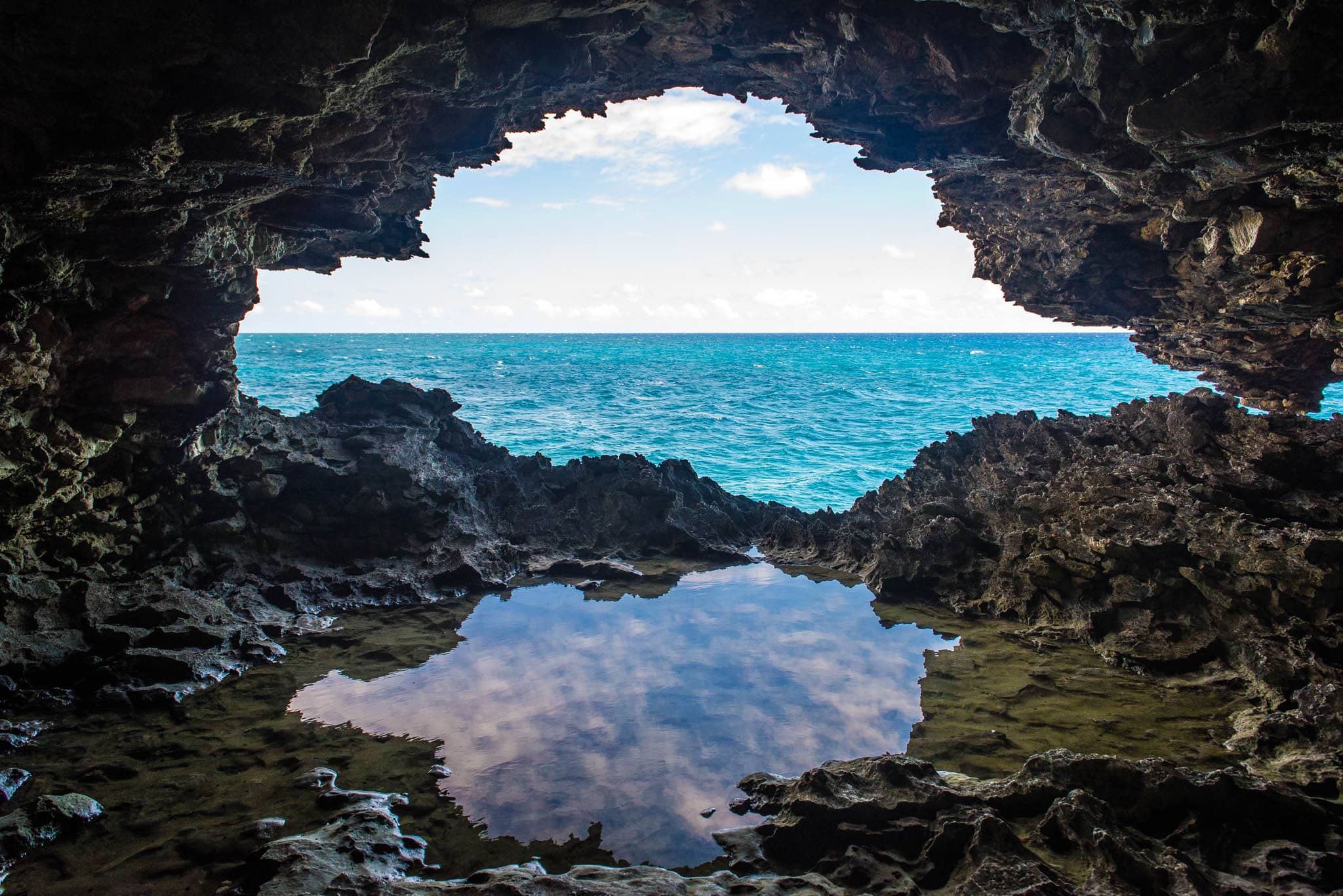 Animal Flower Cave Weather