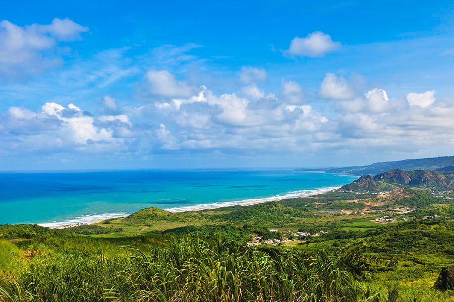 Cherry Tree Hill